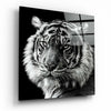 Tiger's Look Glass Wall Art by Insigneart USA