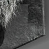 Tiger's Look Glass Wall Art by Insigneart USA