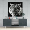 Tiger's Look Glass Wall Art by Insigneart USA