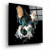 Punk Dog Glass Wall Art by Insigneart USA
