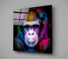 Intellectual Monkey Glass Wall Art by Insigneart USA