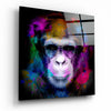 Intellectual Monkey Glass Wall Art by Insigneart USA