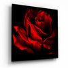 Red Rose Glass Wall Art by Insigneart USA