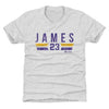 LeBron James Los Angeles Lakers Font by 500 LEVEL