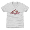 Birmingham Stallions Primary Logo by 500 LEVEL