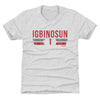 Davison Igbinosun College Font by 500 LEVEL