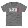 Dylan Larkin Detroit Elite Red WHT by 500 LEVEL