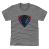DePaul Blue Demons Primary Logo WHT by 500 LEVEL