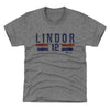 Francisco Lindor New York M Font by 500 LEVEL