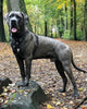 The "Aztec" BLACK harness by Bestia Dog Gear