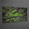 Mossy Stones Mega Glass Wall Art by Insigneart USA