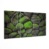Mossy Stones Mega Glass Wall Art by Insigneart USA