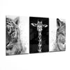 Animals Mega Glass Wall Art by Insigneart USA