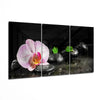 Orchid Mega Glass Wall Art by Insigneart USA