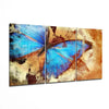 Butterfly Glass Wall Art by Insigneart USA