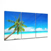 Palm Glass Wall Art on the Beach by Insigneart USA