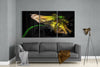 Macro Flower Glass Wall Art by Insigneart USA