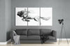 Horse Glass Wall Art by Insigneart USA