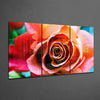 Rose Glass Wall Art by Insigneart USA