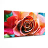 Rose Glass Wall Art by Insigneart USA