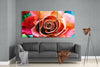 Rose Glass Wall Art by Insigneart USA
