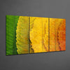 Autumn Leaves Glass Wall Art by Insigneart USA