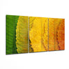 Autumn Leaves Glass Wall Art by Insigneart USA