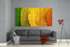 Autumn Leaves Glass Wall Art by Insigneart USA