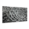 Succulent Glass Wall Art by Insigneart USA
