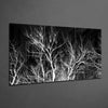 Branches Glass Wall Art by Insigneart USA