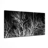 Branches Glass Wall Art by Insigneart USA