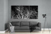 Branches Glass Wall Art by Insigneart USA
