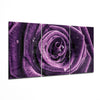 Rose Glass Wall Art by Insigneart USA