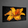 Flower - Orange Lilium Glass Art by Insigneart USA