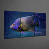 Queen Angel Fish Glass Art by Insigneart USA