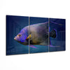 Queen Angel Fish Glass Art by Insigneart USA