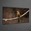 Bee-eater Glass Art by Insigneart USA