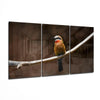 Bee-eater Glass Art by Insigneart USA