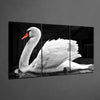 Swan Glass Art by Insigneart USA