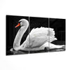 Swan Glass Art by Insigneart USA