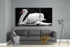 Swan Glass Art by Insigneart USA