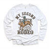 My Second Rodeo Birthday Shirt - Kids Western Shirt by Madi Moosh