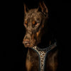 The Leopard Harness by Bestia Dog Gear