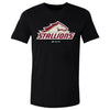 Birmingham Stallions Primary Logo WHT by 500 LEVEL