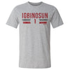 Davison Igbinosun College Font by 500 LEVEL