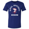 DePaul Blue Demons Mascot Basketball WHT by 500 LEVEL