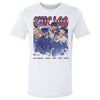 Chicago Baseball Vintage by 500 LEVEL