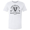 Vandegrift Crown Trio Volleyball Ball by 500 LEVEL