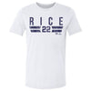 Ben Rice New York Y Font by 500 LEVEL