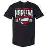 Harlem Globetrotters Cracked Font WHT by 500 LEVEL
